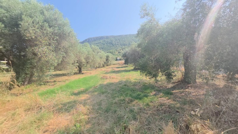Οικόπεδο 2.349 τ.μ. προς πώληση, Κουφός Τορώνης