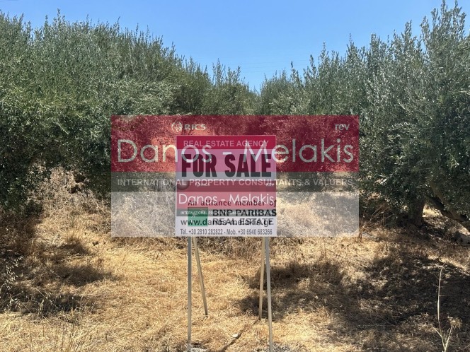 Αγροτεμάχια 4.034 τ.μ. πρός πώληση, Ν. Ηρακλείου, Τέμενος