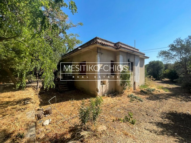 Μονοκατοικία 461,21 τ.μ. πρός πώληση, Ν. Χίου, Χίος