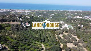 Αγροτεμάχια 4.343 τ.μ. προς πώληση, Μαρουλάς-thumb-2