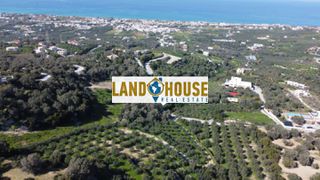 Αγροτεμάχια 4.343 τ.μ. για πώληση