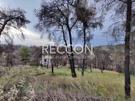 Land plot 1.024sqm for sale-Malesina » Theologos