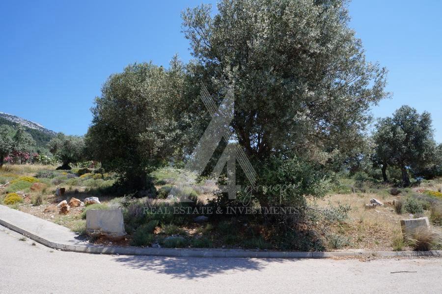 Οικόπεδο 483 τ.μ. προς πώληση, Γυμνό Αμαρύνθου
