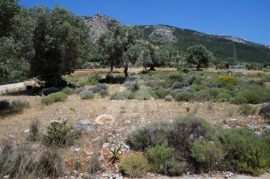 Οικόπεδο 483 τ.μ. προς πώληση, Γυμνό Αμαρύνθου
