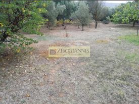 Οικόπεδο 912τ.μ. για πώληση-Κρυονέρι