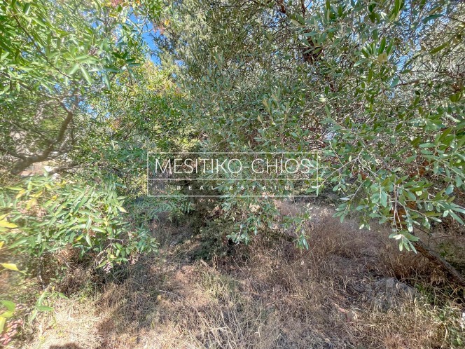 Οικόπεδο 2.501,82 τ.μ. προς πώληση, Πόλη Χίου
