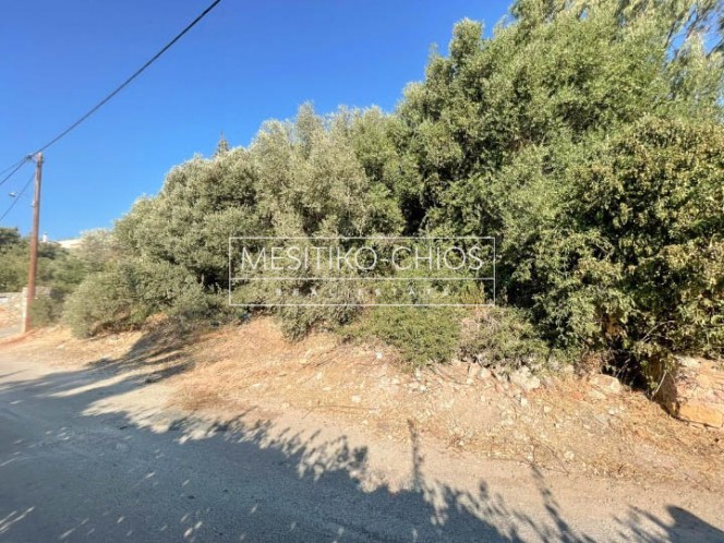 Οικόπεδο 2.501,82 τ.μ. προς πώληση, Πόλη Χίου