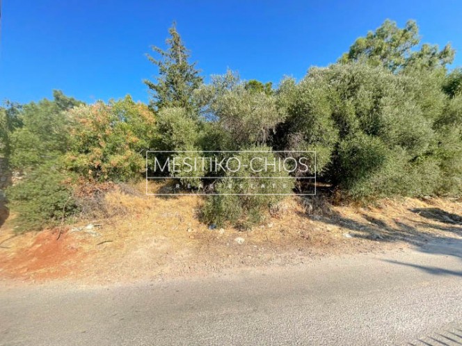 Οικόπεδο 2.501,82 τ.μ. προς πώληση, Πόλη Χίου