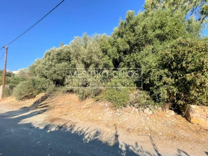 Οικόπεδο 2.501,82 τ.μ. προς πώληση, Πόλη Χίου