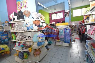 Κατάστημα 200 τ.μ. πρός ενοικίαση, Εβρος, Αλεξανδρούπολη-thumb-19