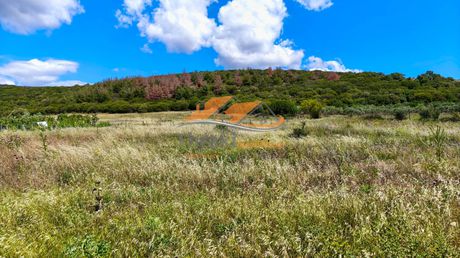 Parcel 2.500sqm for sale-Alexandroupoli » Palagia
