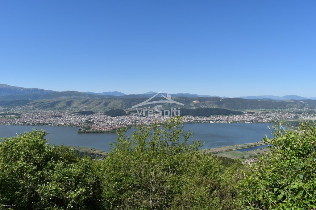 Οικόπεδο 1.000 τ.μ. προς πώληση, Ιωάννινα