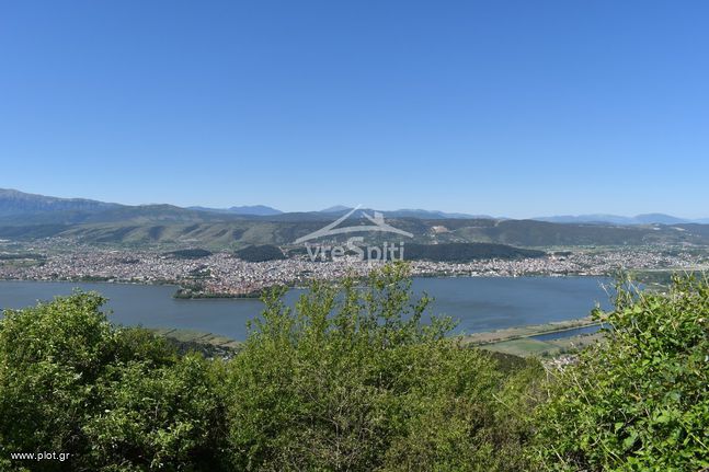 Οικόπεδο 1.000 τ.μ. για πώληση, Ν. Ιωαννίνων, Ιωάννινα