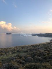 Αγροτεμάχια 4.200 τ.μ. για πώληση