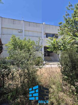 Industrial space 1.550 sqm for sale