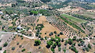 Οικόπεδο 7.158 τ.μ. για πώληση, Αργολίδα, Κρανίδι-thumb-4