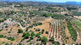 Οικόπεδο 7.158 τ.μ. για πώληση, Αργολίδα, Κρανίδι-thumb-6