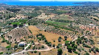 Οικόπεδο 7.158 τ.μ. για πώληση, Αργολίδα, Κρανίδι-thumb-3