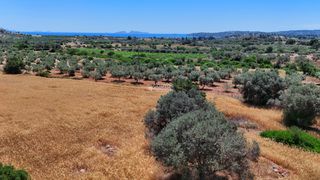 Οικόπεδο 7.158 τ.μ. για πώληση, Αργολίδα, Κρανίδι-thumb-23