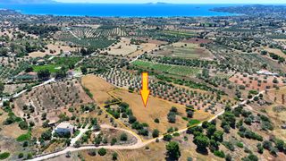 Οικόπεδο 7.158 τ.μ. για πώληση, Αργολίδα, Κρανίδι-thumb-10