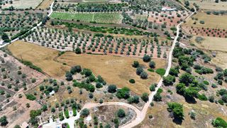 Οικόπεδο 7.158 τ.μ. για πώληση, Αργολίδα, Κρανίδι-thumb-17