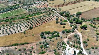 Οικόπεδο 7.158 τ.μ. για πώληση, Αργολίδα, Κρανίδι-thumb-16