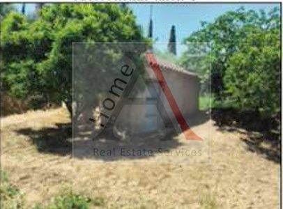 Αγροτεμάχια 2.832τ.μ. για πώληση-Ιθώμης » Λάμπαινα