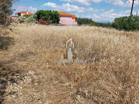 Οικόπεδο 1.272τ.μ. για πώληση-Αίγινα » Βίγλα