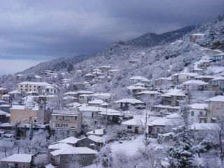 Οικόπεδο 4.100 τ.μ. για πώληση, Λακωνία, Πελλάνα-thumb-1