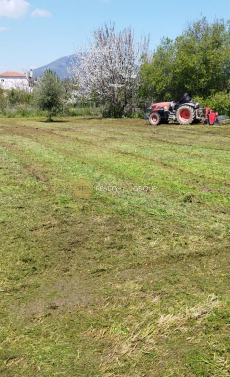 Αγροτεμάχια 558 τ.μ. για πώληση, Εύβοια, Αιδηψός