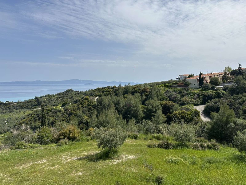 Αγροτεμάχια 4.300 τ.μ. πρός πώληση, Χαλκιδική, Κασσάνδρα
