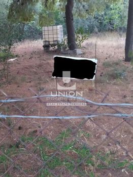 Land plot 500sqm for sale-Agia Paraskevi » Pefkakia