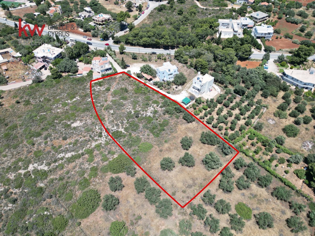 Οικόπεδο 4.228 τ.μ. προς πώληση, Κορακιές