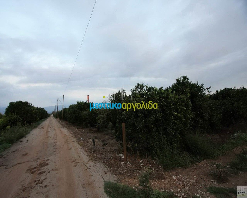 Οικόπεδο 10.000 τ.μ. προς πώληση, Λάλουκας