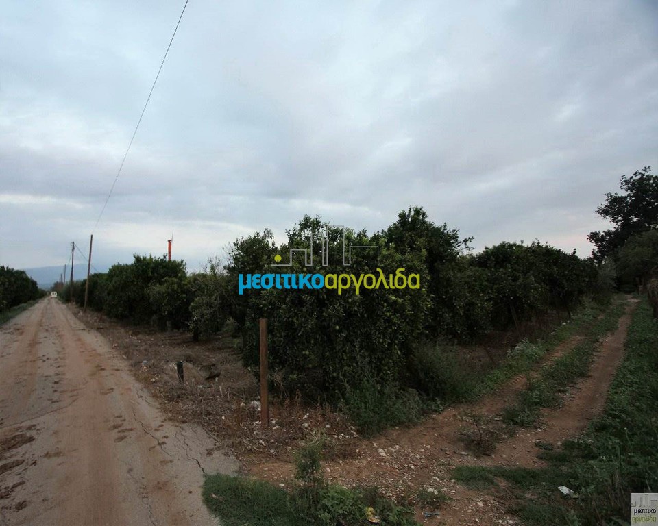 Οικόπεδο 10.000 τ.μ. προς πώληση, Λάλουκας