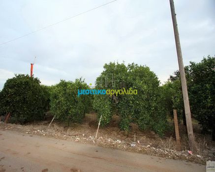 Land plot 10.000sqm for sale-Argos