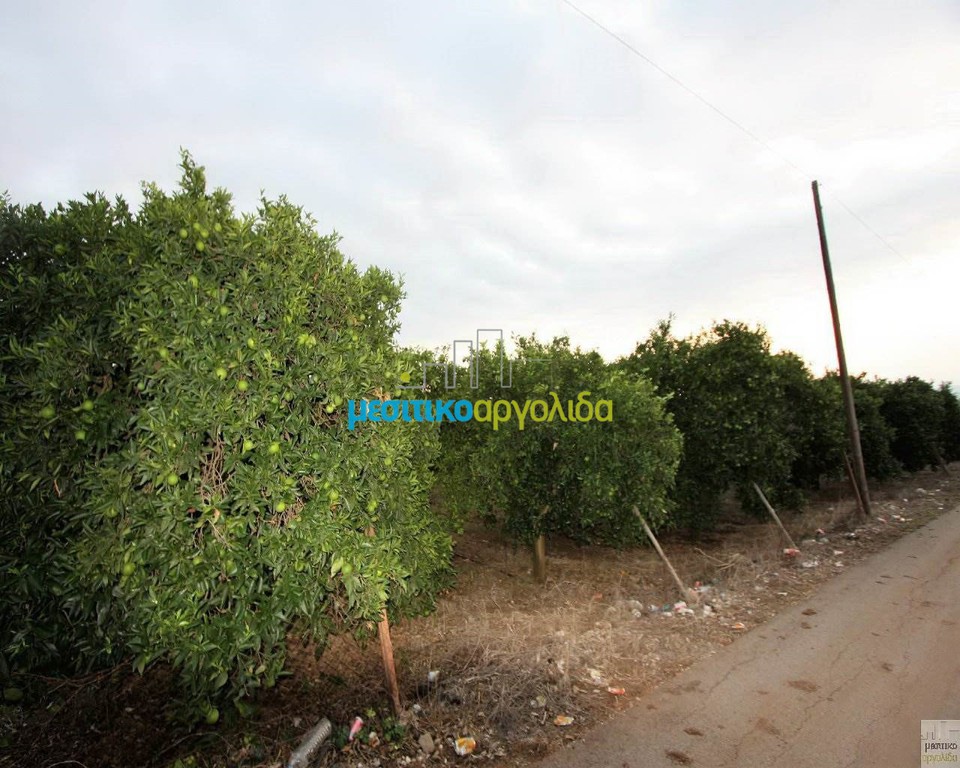 Οικόπεδο 10.000 τ.μ. προς πώληση, Λάλουκας