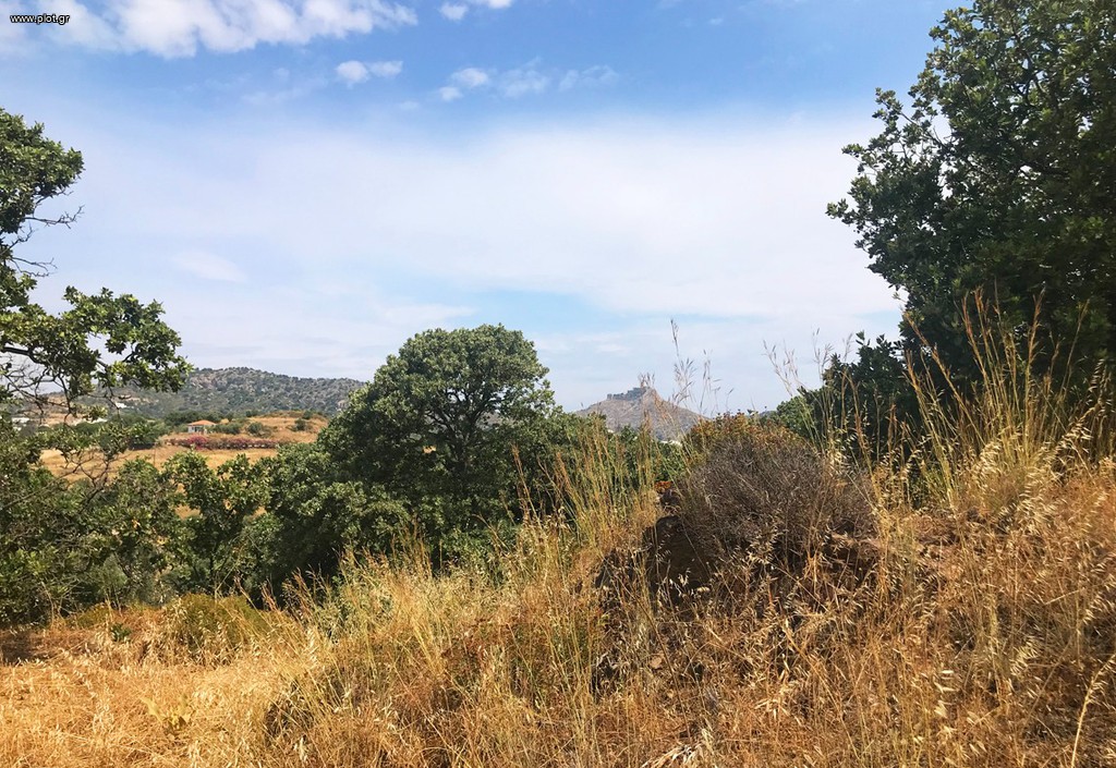 Οικόπεδο 6.940 τ.μ. πρός πώληση, Δωδεκάνησα, Λέρος