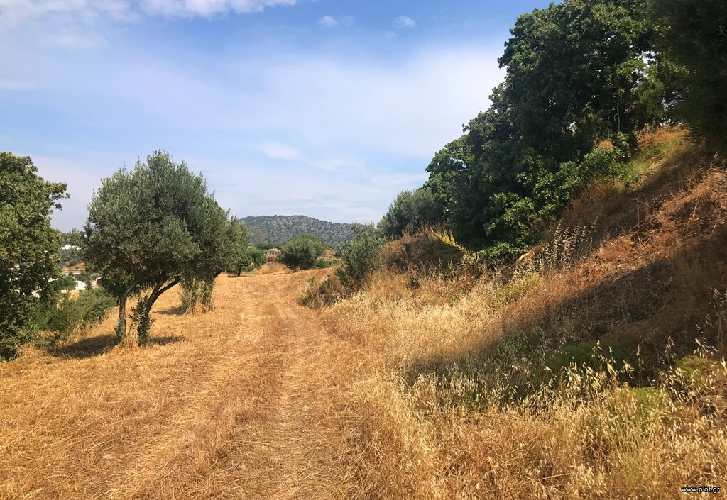 Οικόπεδο 6.940 τ.μ. πρός πώληση, Δωδεκάνησα, Λέρος