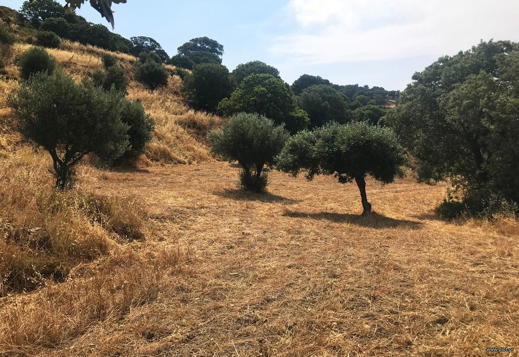 Οικόπεδο 6.940 τ.μ. πρός πώληση, Δωδεκάνησα, Λέρος