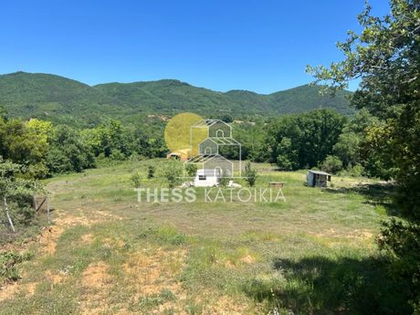 Αγροτεμάχια 13.500 τ.μ. για πώληση