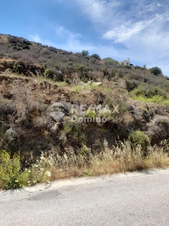 Αγροτεμάχια 4.220 τ.μ. προς πώληση, Πήσσες