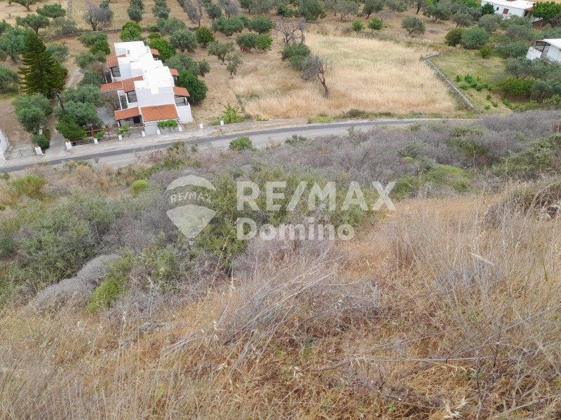 Αγροτεμάχια 4.220 τ.μ. προς πώληση, Πήσσες