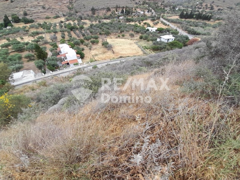 Αγροτεμάχια 4.220 τ.μ. προς πώληση, Πήσσες