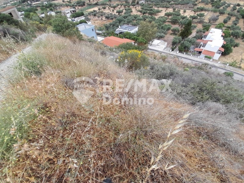 Αγροτεμάχια 4.220 τ.μ. προς πώληση, Πήσσες
