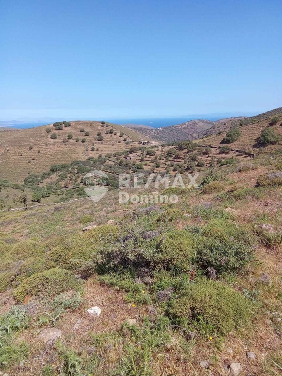 Αγροτεμάχια 47.000 τ.μ. προς πώληση, Κάτω Μεριά