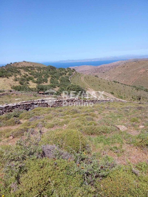 Αγροτεμάχια 47.000 τ.μ. προς πώληση, Κάτω Μεριά