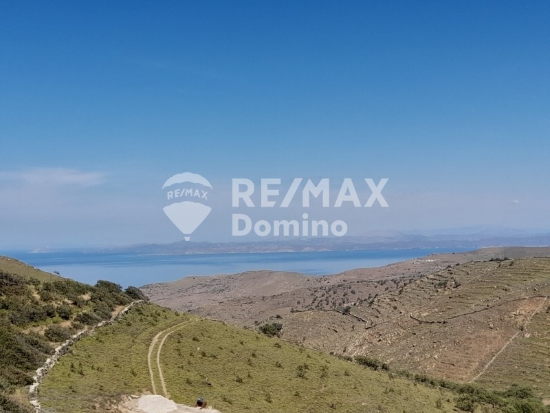 Αγροτεμάχια 47.000 τ.μ. προς πώληση, Κάτω Μεριά
