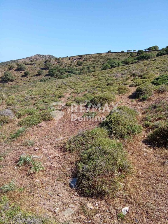 Αγροτεμάχια 47.000 τ.μ. προς πώληση, Κάτω Μεριά