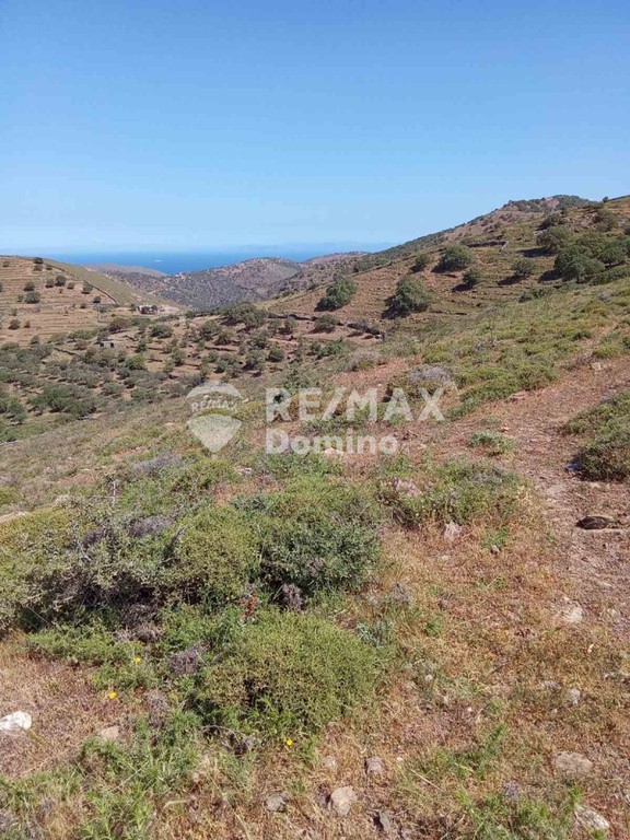 Αγροτεμάχια 47.000 τ.μ. προς πώληση, Κάτω Μεριά